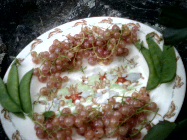Early Season Currants and Peas