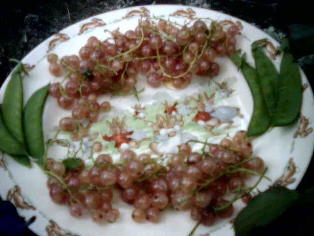 Early Season Currants and Peas